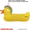 Airhead Inflatable Pool Float | Multiple Styles Available(Punk Duck)