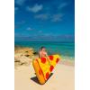 SportsStuff BLUEBERRY DONUT Floatable Tube for Pool, Lakes, River(Pizza Slice)