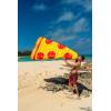 SportsStuff BLUEBERRY DONUT Floatable Tube for Pool, Lakes, River(Pizza Slice)