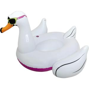 Airhead Inflatable Pool Float | Multiple Styles Available(Cool Swan)